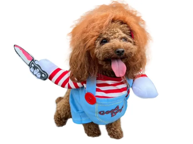 トイプードル ハロウィン 服 画像.