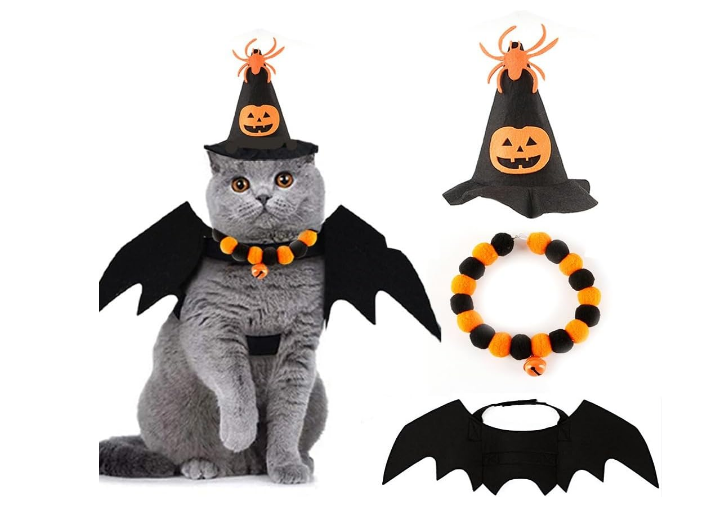 トイプードル ハロウィン 服 画像.