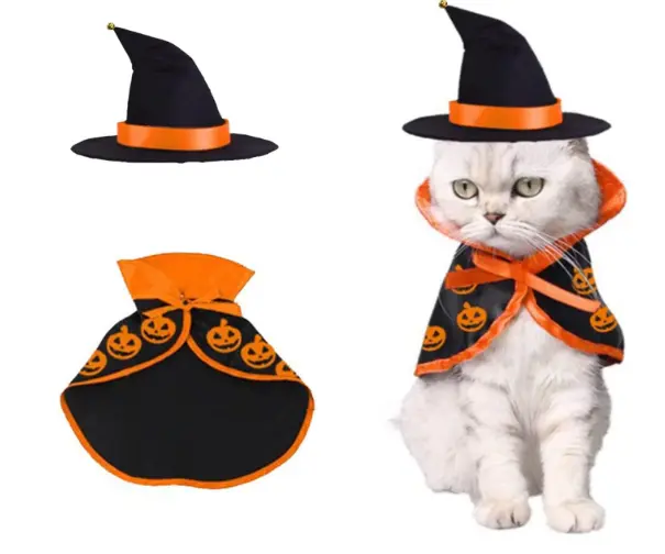 トイプードル ハロウィン 服 画像.