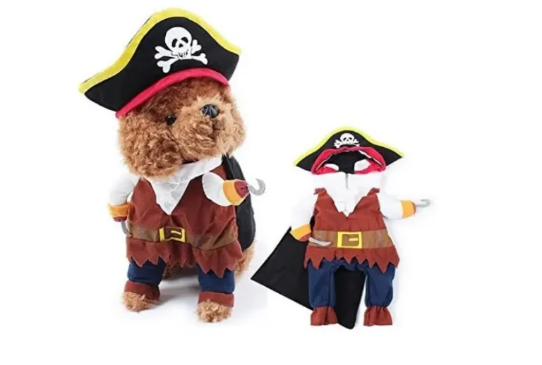 トイプードル ハロウィン コスチューム 可愛い, トイプードル 仮装, 犬 ハロウィン 服