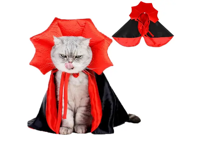 トイプードル ハロウィン 服 画像.