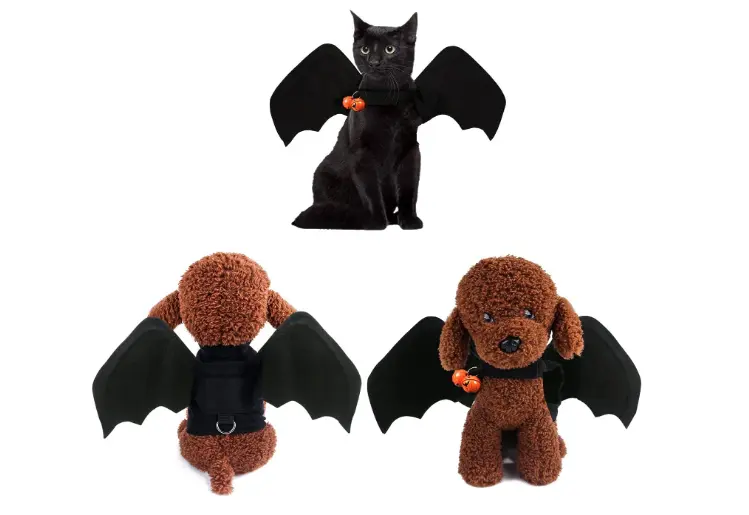 トイプードル ハロウィン 服 画像.