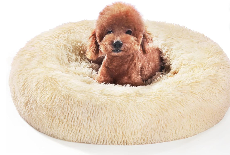トイプードル用ベッド人気