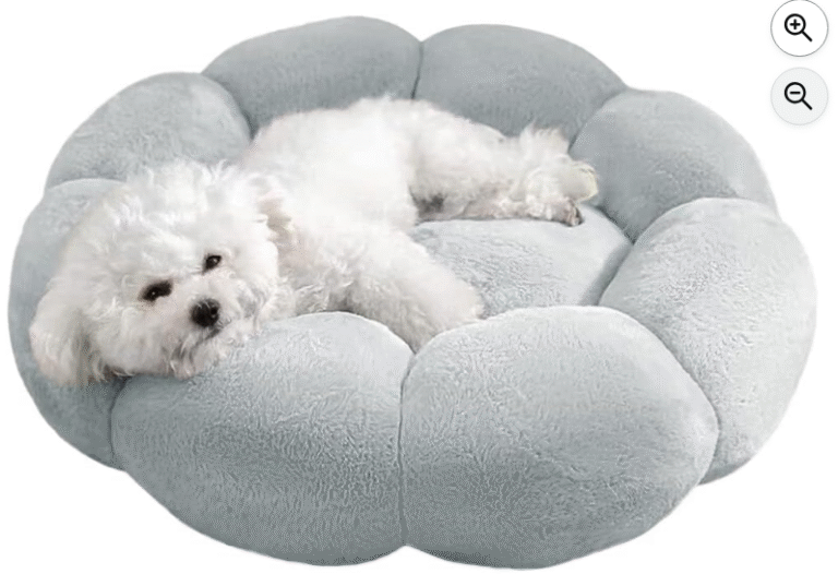 トイプードル用ベッド人気