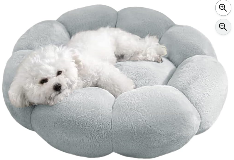 トイプードル用ベッド人気