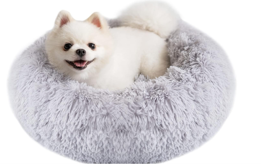 トイプードル用ベッド人気